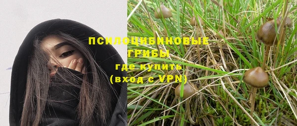 кокс Баксан