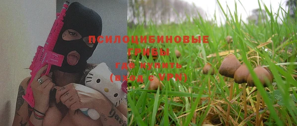 кокс Баксан