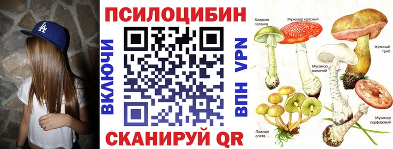 Псилоцибиновые грибы мухоморы  Купить закладки  Набережные Челны 